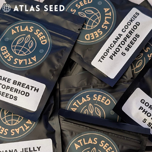 atlas seed r&d packs www.86peppers.com