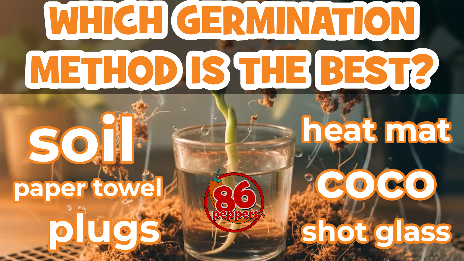 which germination method is the best?